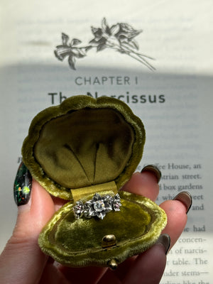 Persephone's Ring