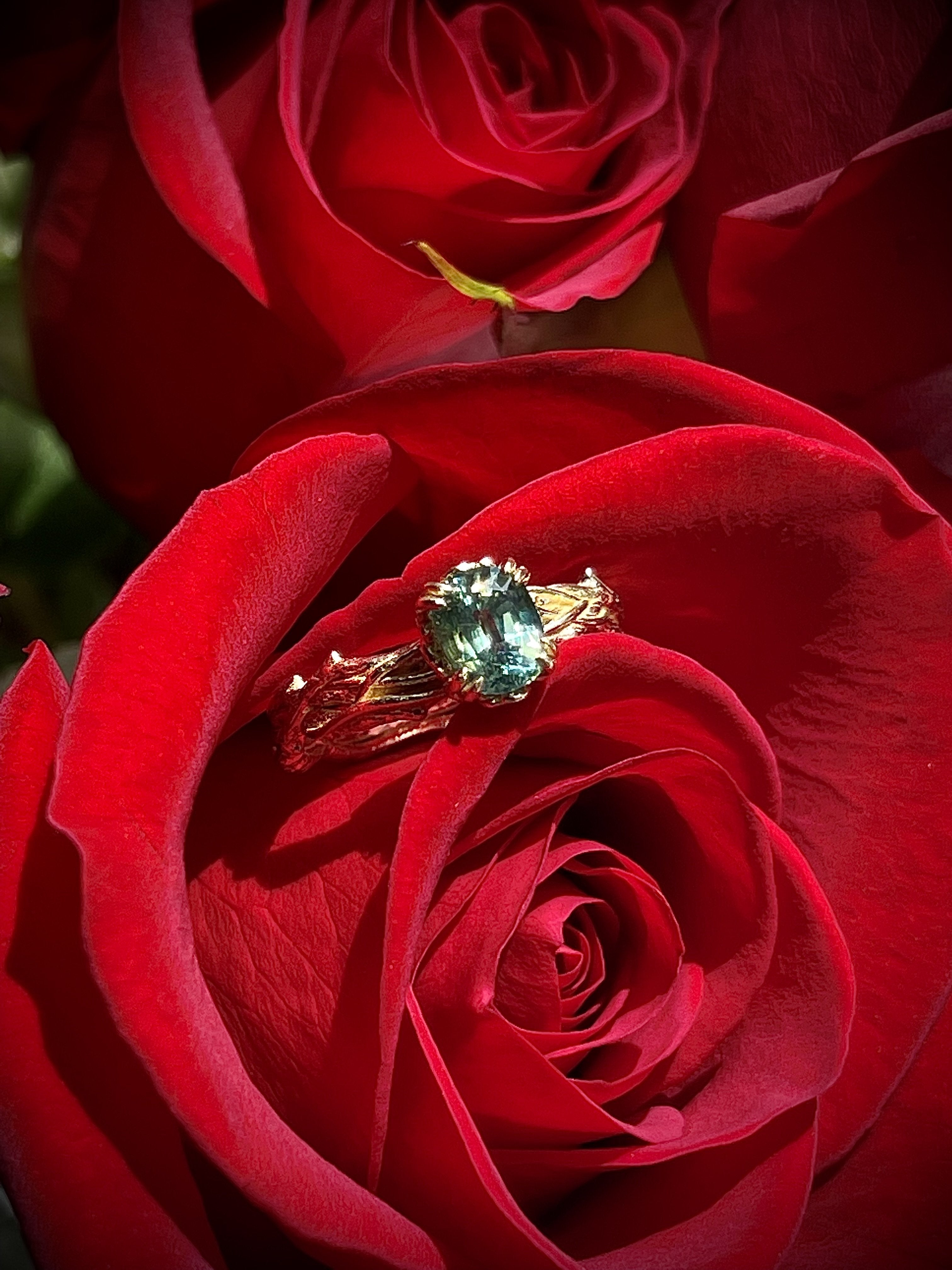 Red rose and wedding ring Photograph by Michal Bednarek - Fine Art America